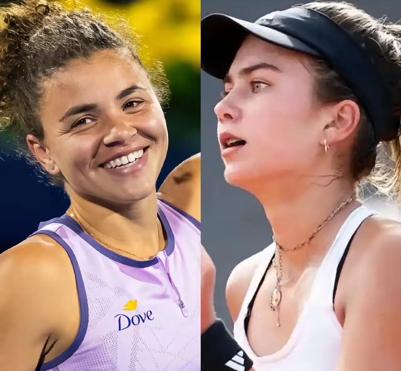 熊的交锋中 熊的交锋中