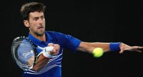 血后的侧翼 血后的侧翼